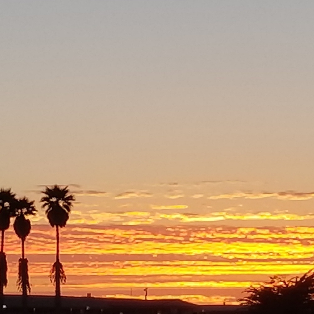 Meet your Posher, Jana